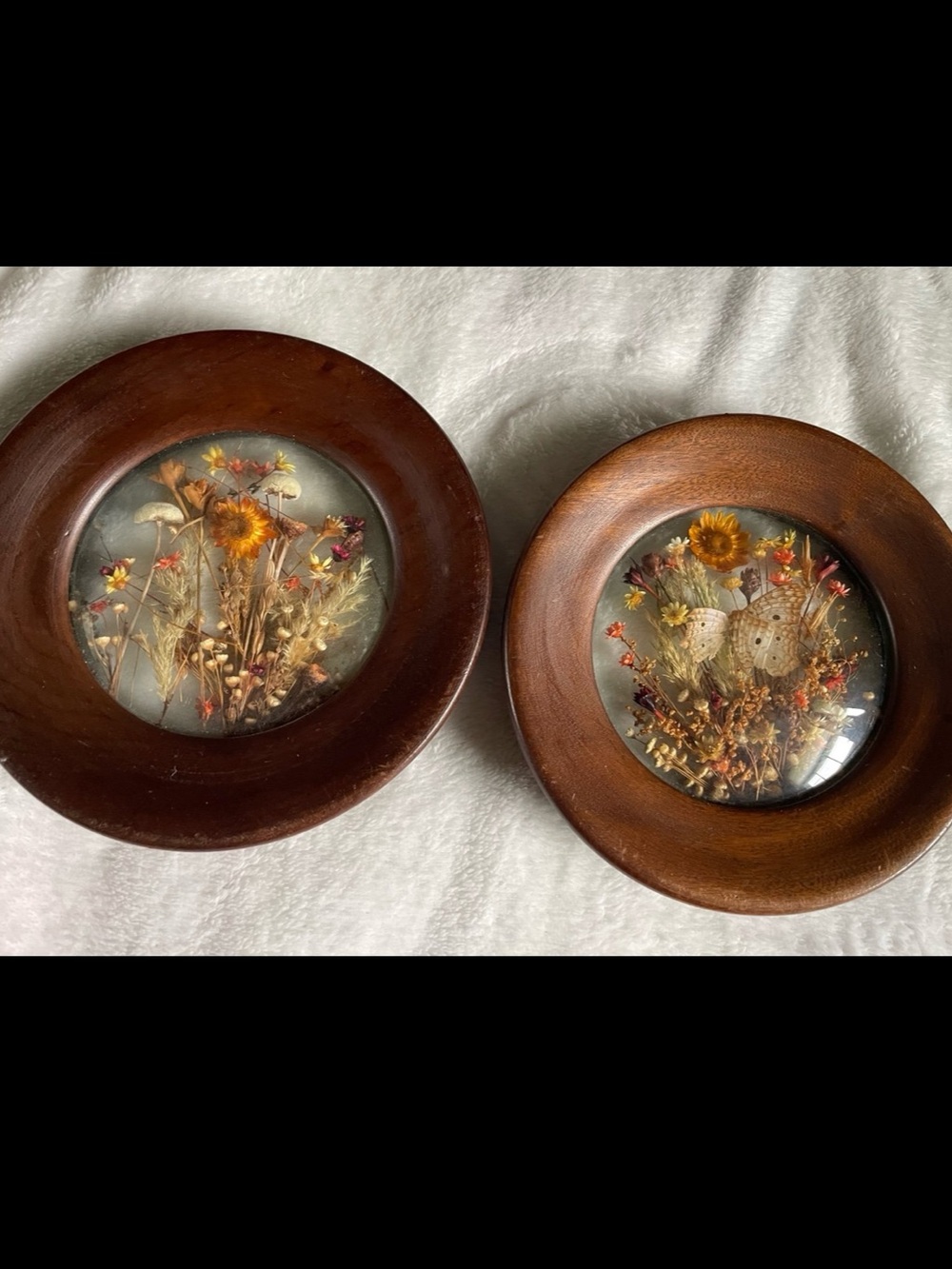 2 Vintage Round Walnut Wood Glass Frame Dried Flowers
